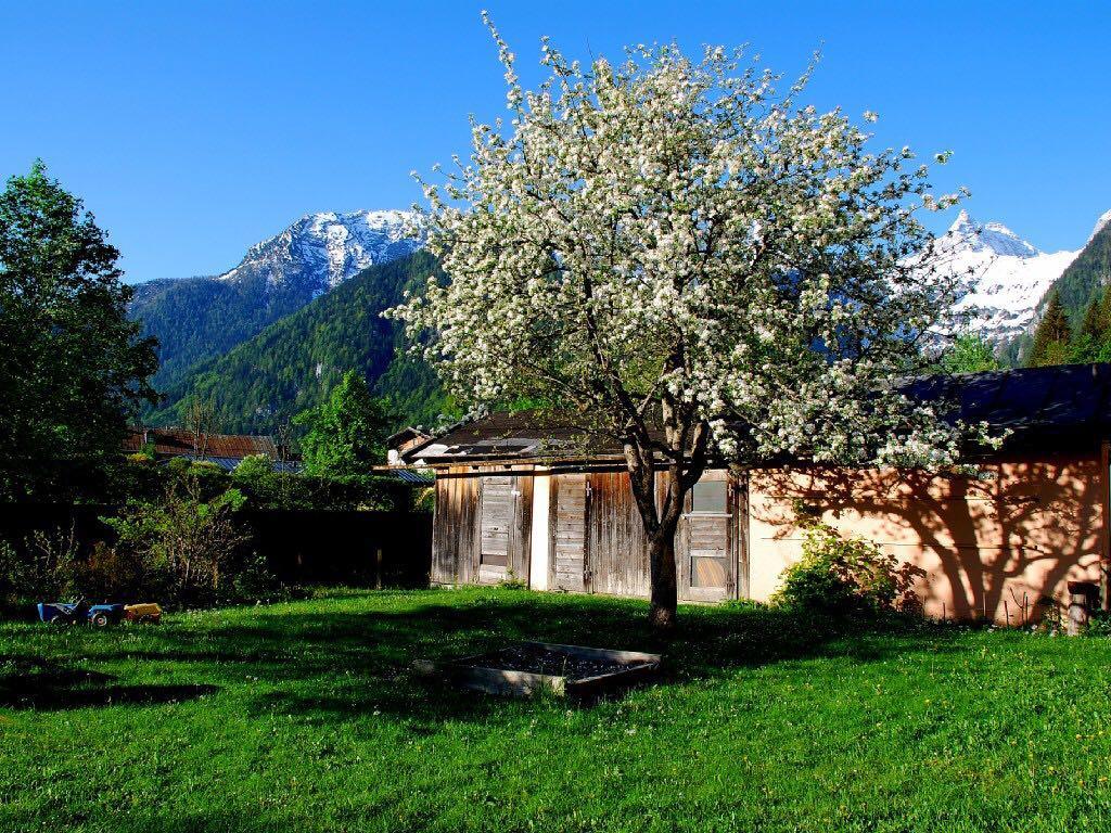 Haus Stainer Apartment Lofer Exterior foto